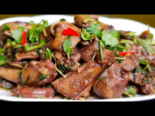 Chim bồ câu làm món gì ngon? Gallery 1