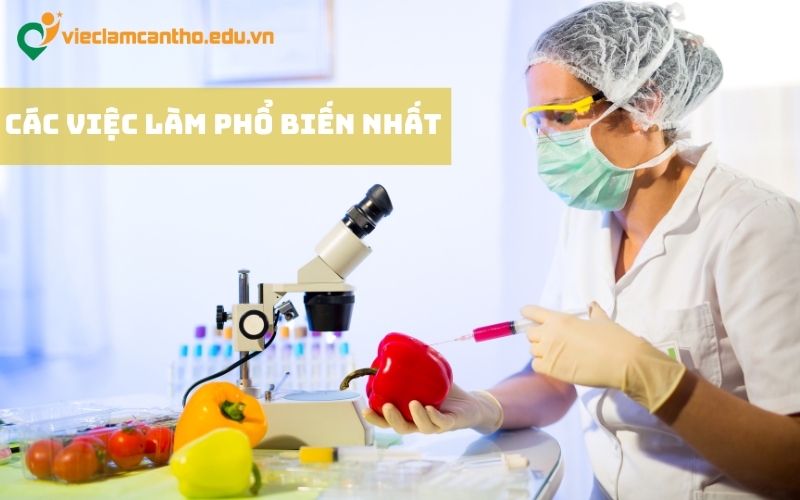 Việc Làm Cần Thơ: Tìm Nhanh Công Việc Ưng Ý Tại Thành Phố Cần Thơ Gallery 1