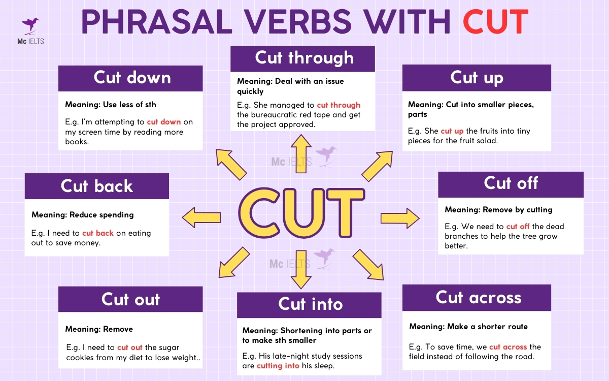 Cut Down Phrasal Verb: Nghĩa, Ví Dụ và Cách Sử Dụng Gallery 1