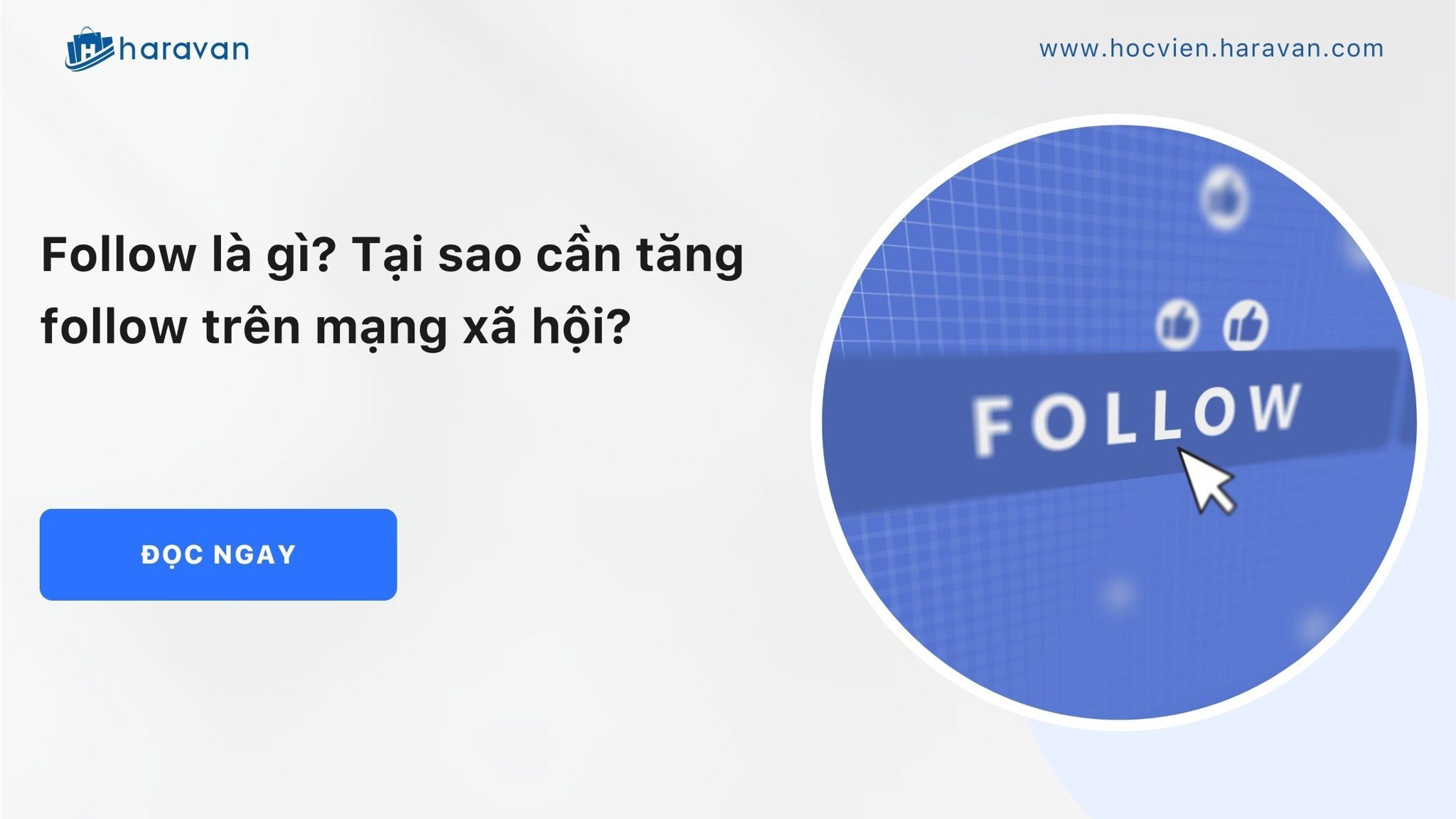 Follow nghĩa tiếng Việt là gì? Gallery 1