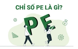 P.E. Nghĩa Là Gì? Gallery 1