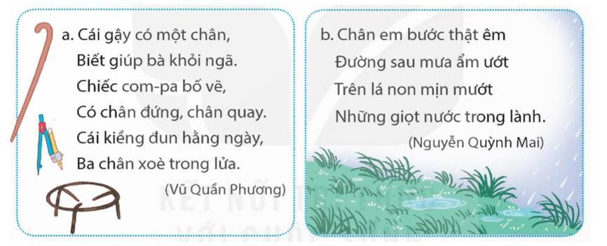 Trong Chân Là Gì? Giải Đáp Chi Tiết Gallery 1