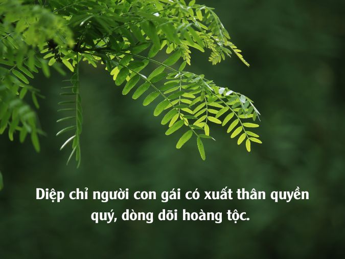 Diệp Có Nghĩa Là Gì? Gallery 1