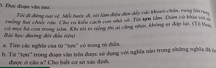 Các Nghĩa Của Từ Tợn