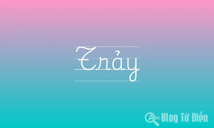 Trảy là gì? Nghĩa của từ Trảy trong tiếng Việt Gallery 1