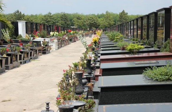 Nghĩa trang Củ Chi Gallery 1