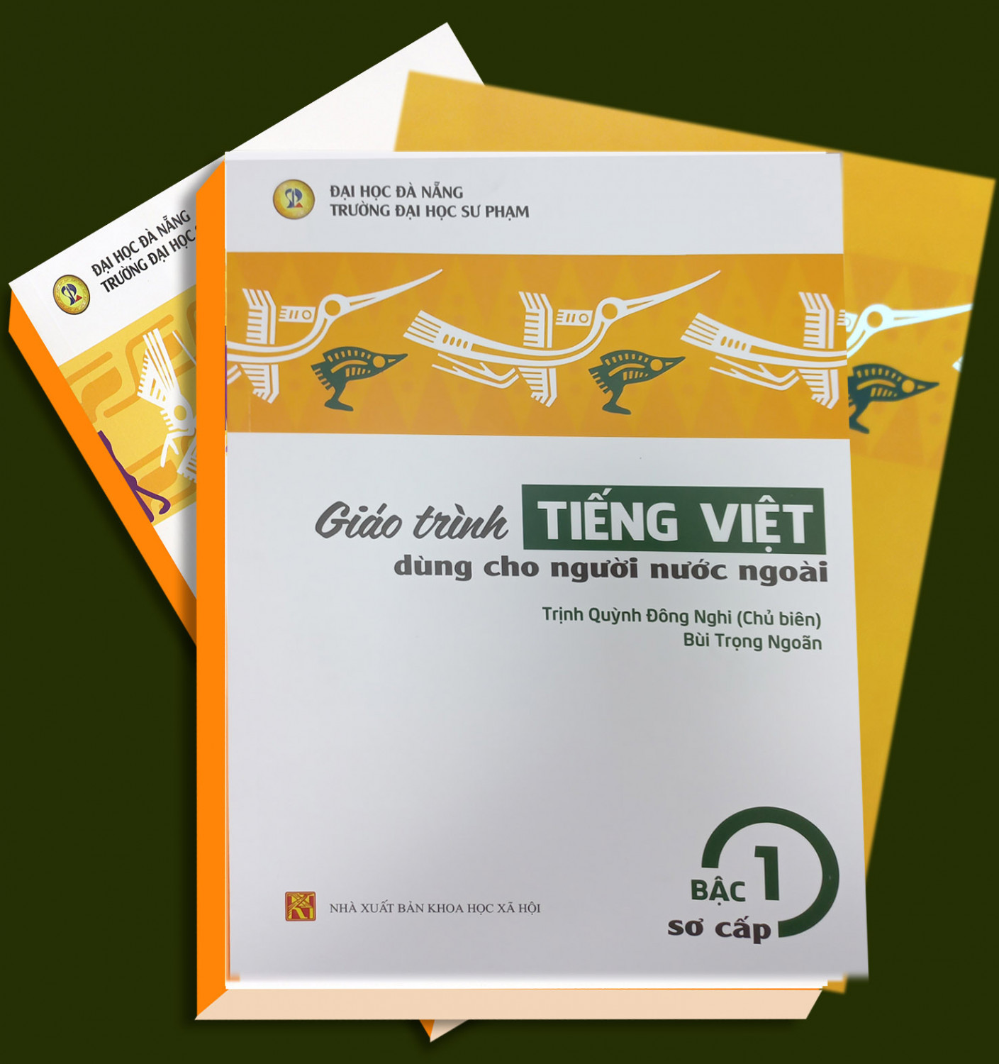 Tài liệu dạy tiếng Việt cho người nước ngoài PDF Gallery 1