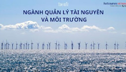 Nên Chọn Nghề Gì? Gallery 2