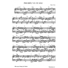 Phi Điểu Và Ve Sầu Hợp Âm Gallery 1