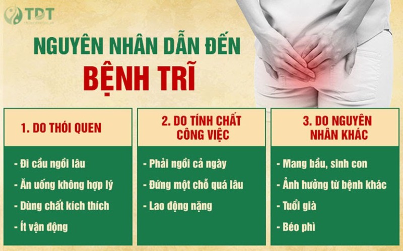 Vì Sao Bị Trĩ? Gallery 1