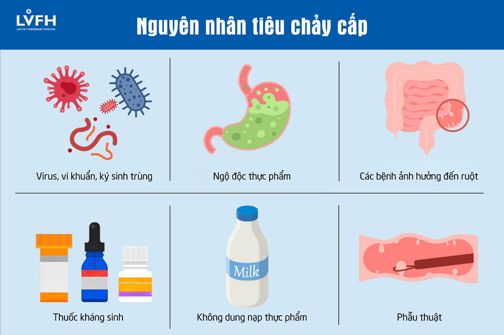 Tại Sao Lại Ỉa Chảy? Gallery 1