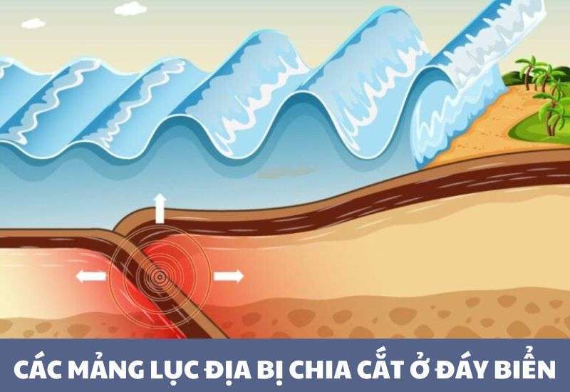 Nguyên nhân chính gây nên sóng thần là gì? Gallery 1
