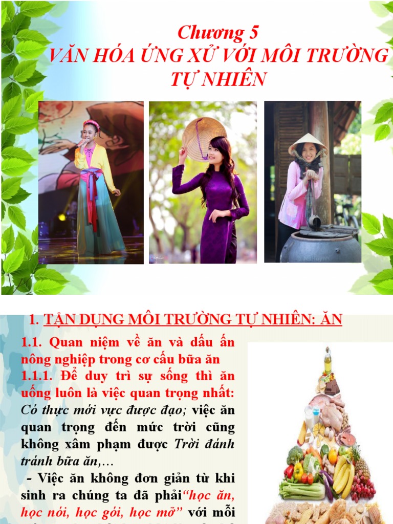Văn Hóa Ứng Xử Với Môi Trường Tự Nhiên Gallery 1