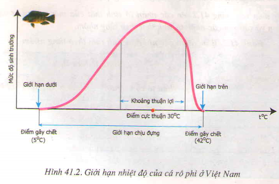 Giới hạn sinh thái Gallery 2