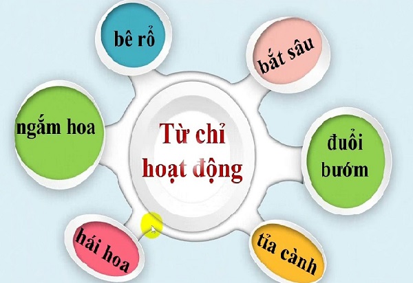 Ví dụ về từ chỉ trạng thái lớp 2 Gallery 1
