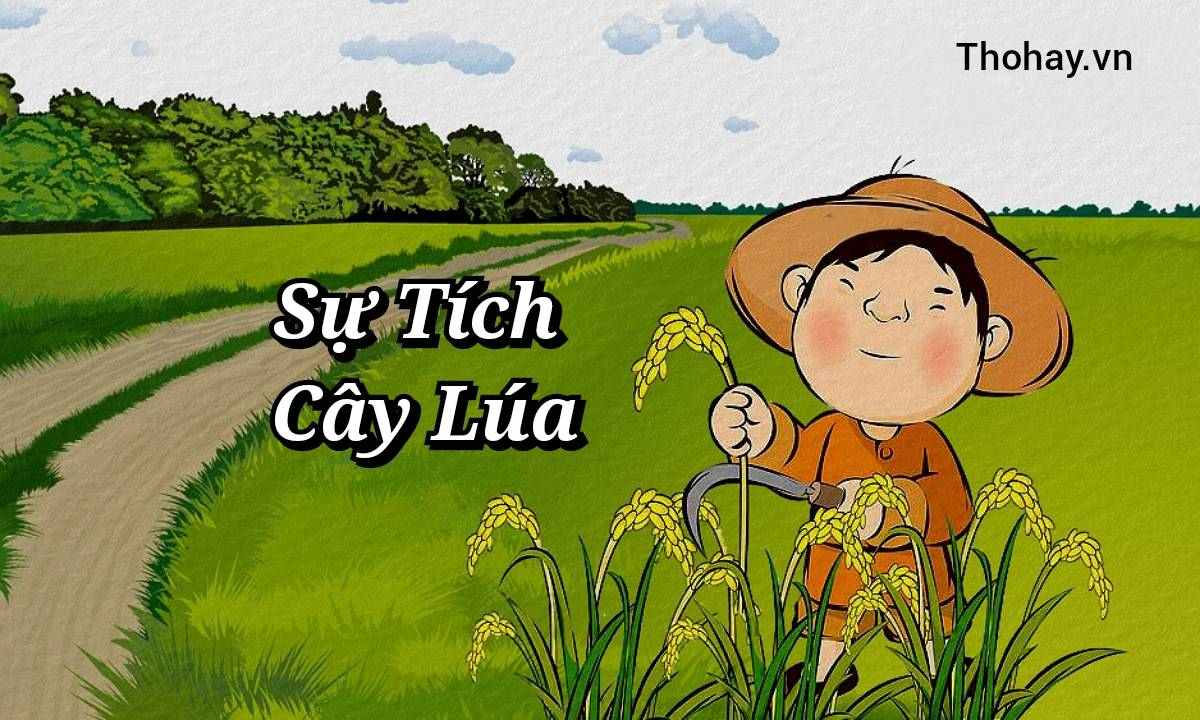 Sự tích cây lúa: Nguồn gốc và ý nghĩa Gallery 2