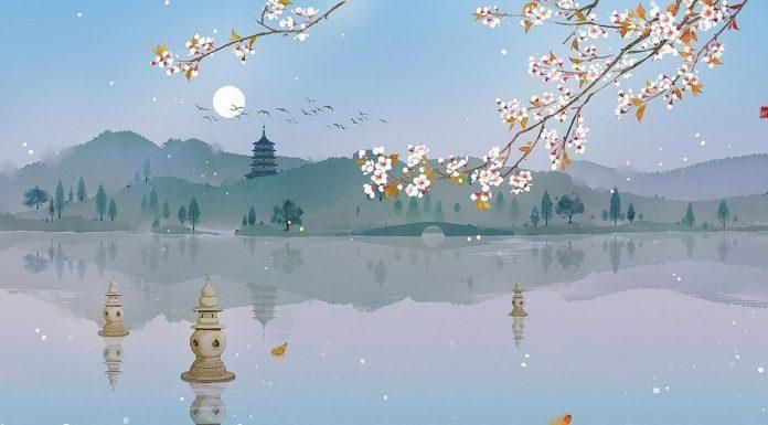Mẫu Ảnh Bìa Đẹp Chất - Thu Hút Ngay Từ Cái Nhìn Đầu Tiên Gallery 1