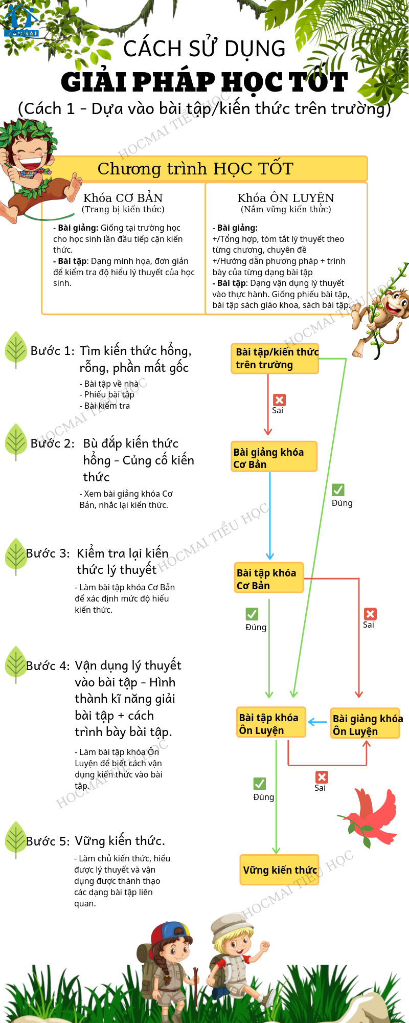 Củng cố kiến thức hiệu quả: Phương pháp và lời khuyên hữu ích Gallery 1