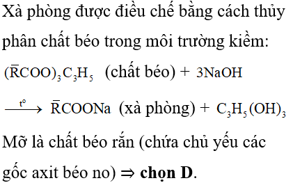 Điều Chế Chất Béo Gallery 1