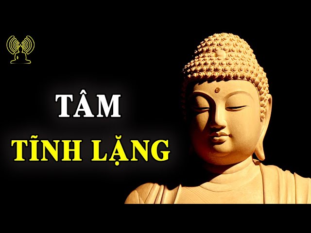 Tâm Tĩnh Lặng Sẽ Sinh Trí Huệ Gallery 2