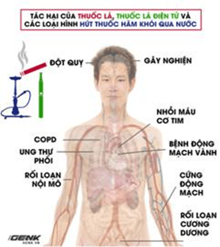 Cách Loại Bỏ Nicotine Trong Cơ Thể Nhanh Nhất Gallery 1