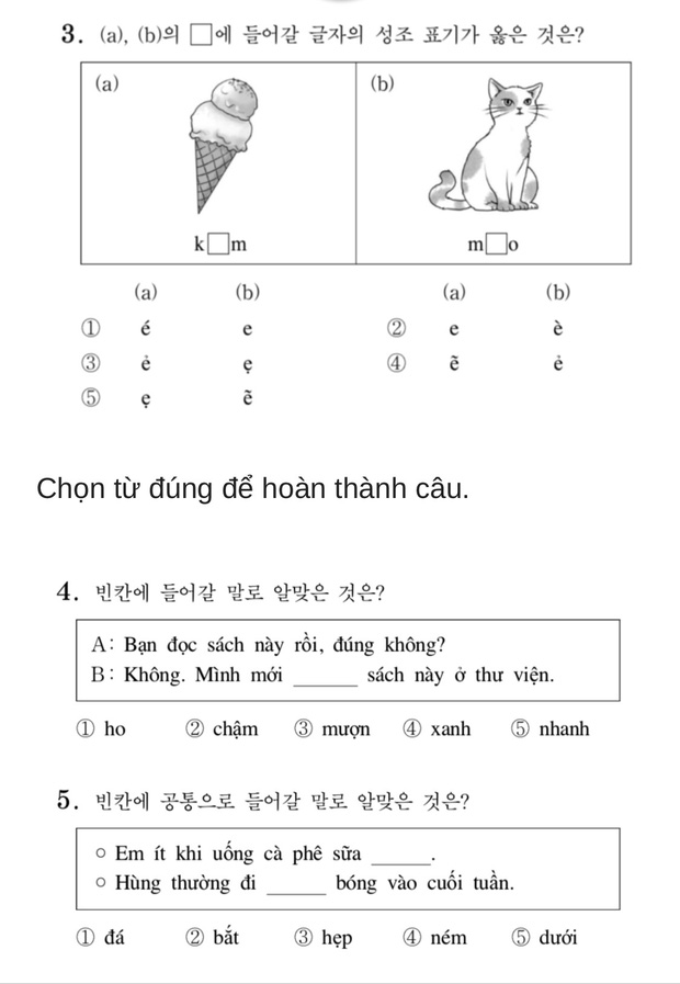 Test Trình Độ Tiếng Việt: Kiểm Tra Nhanh & Chính Xác Gallery 1