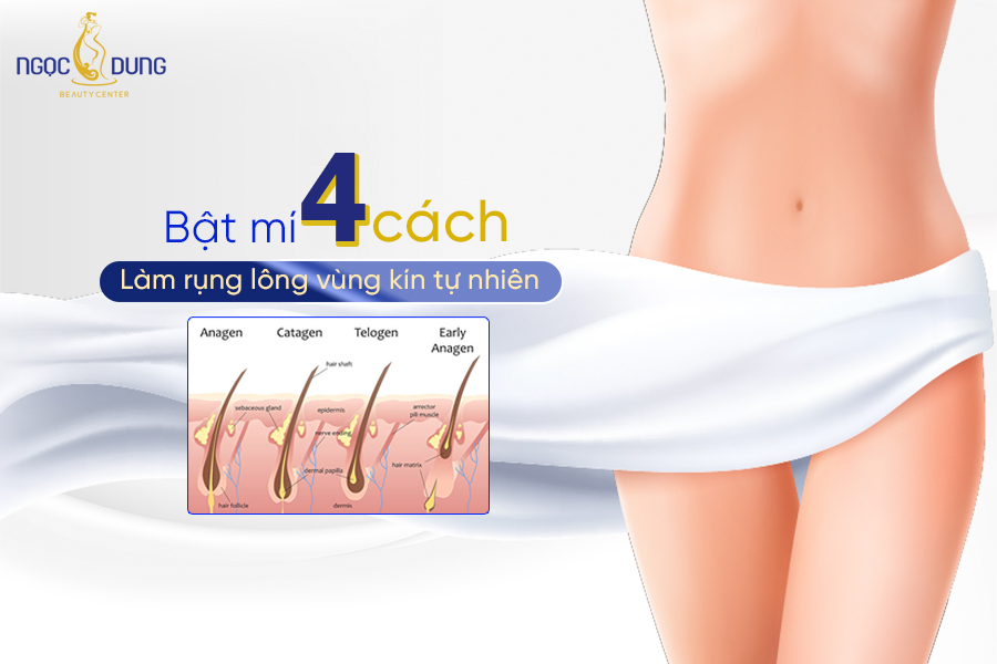 Cách Làm Rụng Lông Vùng Kín Tự Nhiên Gallery 1