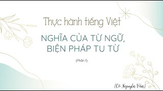 Thực hành tiếng Việt: Nghĩa của từ ngữ Gallery 1