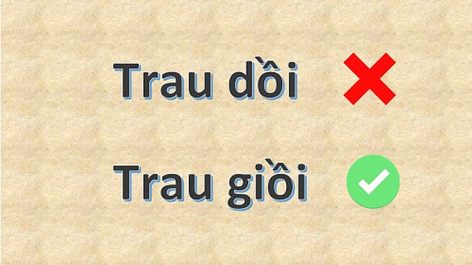 Trau Dồi Là Gì? Phương Pháp Trau Dồi Hiệu Quả Gallery 1