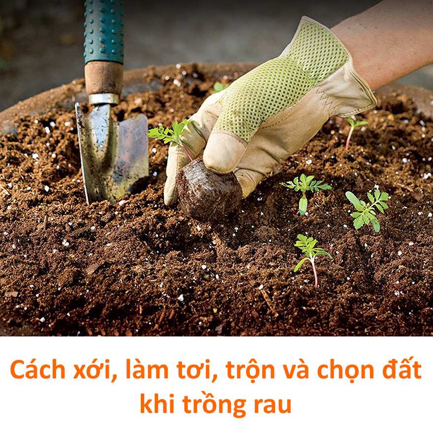 Xới Bài Là Gì? Hướng Dẫn Chi Tiết Gallery 1