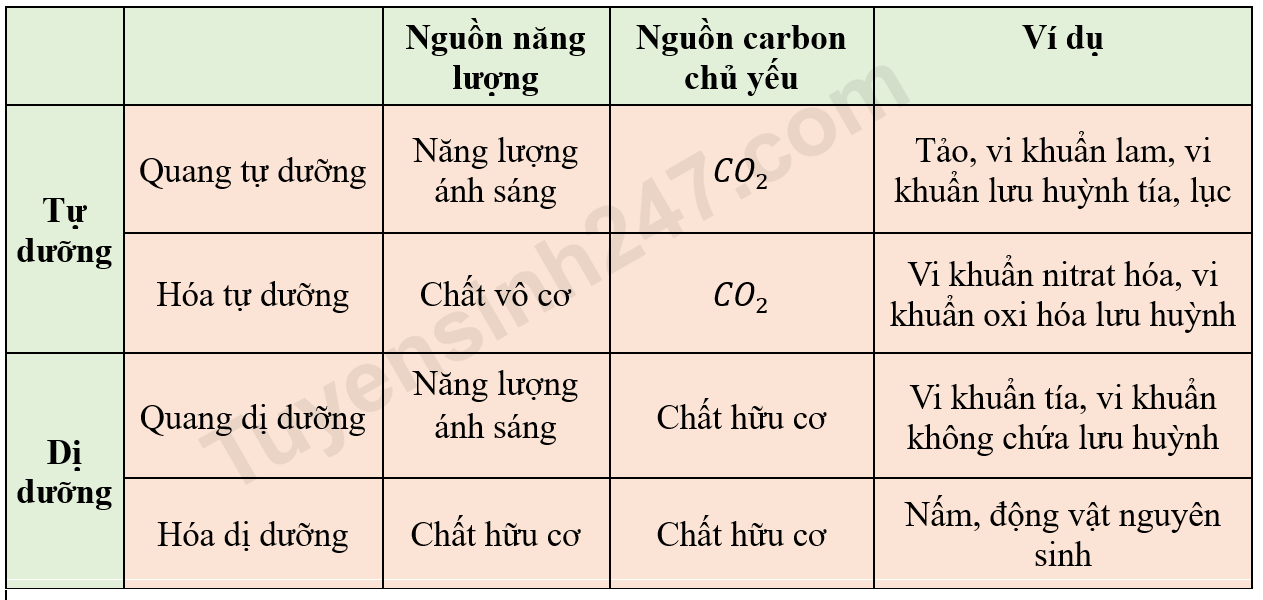 Phương Thức Trao Đổi Chất Và Chuyển Hóa Năng Lượng
