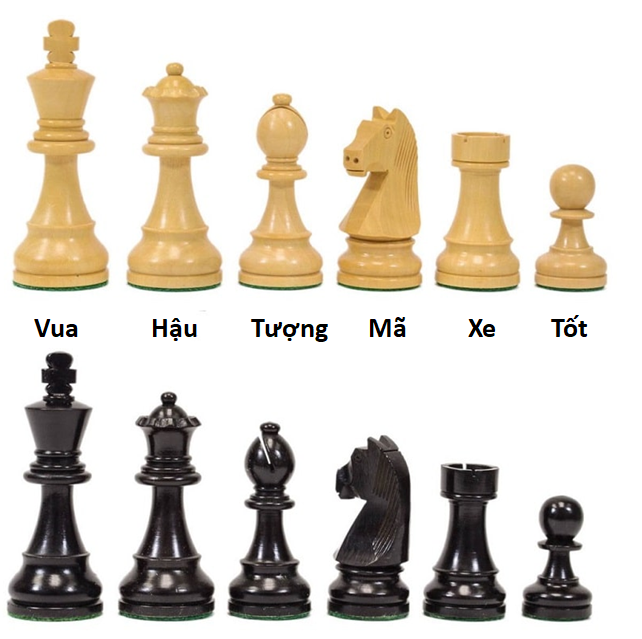 Các Quân Trong Cờ Vua: Hướng Dẫn Chi Tiết về Chuyển Động và Sức Mạnh