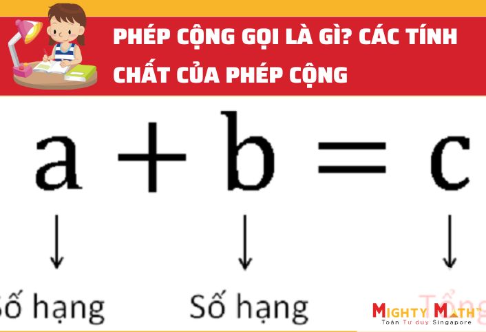 Các số trong phép cộng gọi là gì
