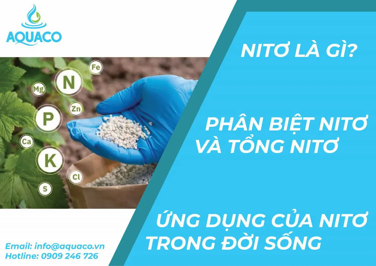 Biệt danh nitơ là gì? Gallery 1