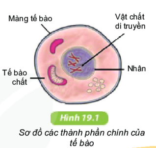 Vật chất bao gồm những gì? Gallery 1