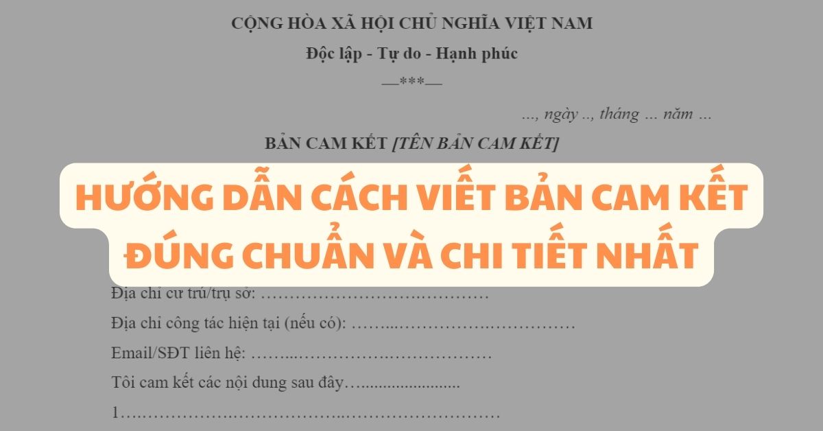 Mẫu Bản Cam Đoan Chuẩn, Đầy Đủ Và Hướng Dẫn Cách Viết Gallery 1
