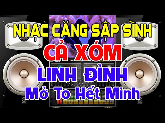 Nhạc Sập Sình là gì? Thể loại âm nhạc cực cuốn hút Gallery 1