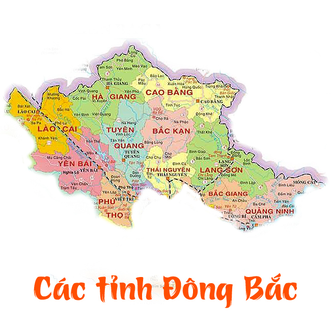 Các Tỉnh Đông Bắc và Tây Bắc Việt Nam: Khám Phá Vẻ Đẹp Thiên Nhiên và Văn Hóa