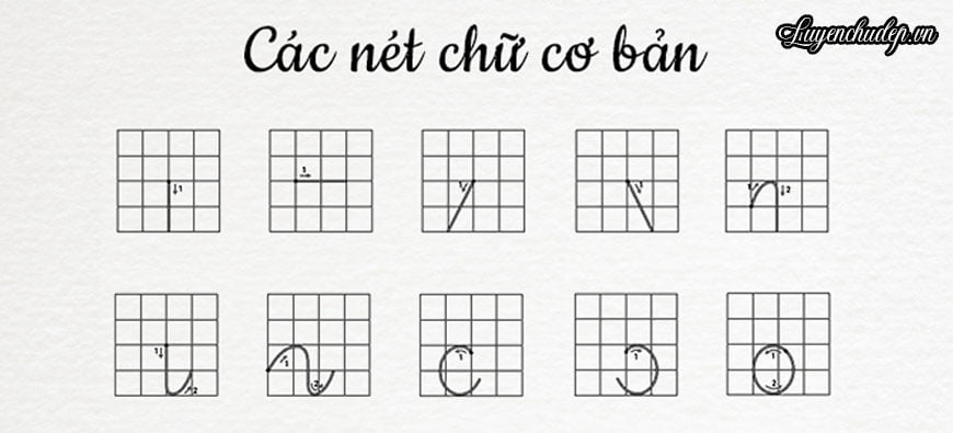 Mãn Nhãn .Net là gì? Gallery 1