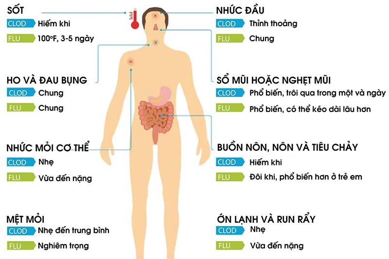 Biểu Hiện Của Cảm Lạnh Gallery 1