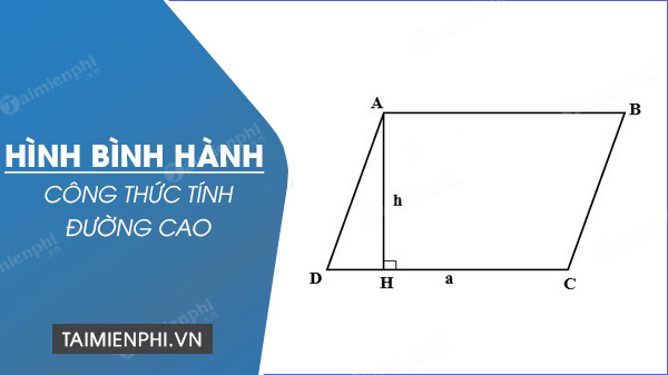 Chiều Cao Hình Bình Hành Gallery 2