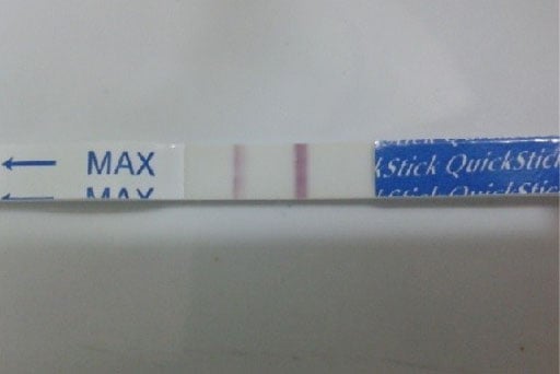 Các Trường Hợp Que Thử Thai 2 Vạch: Giải Đáp Thắc Mắc