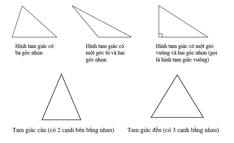 Diện tích hình tam giác có độ dài đáy Gallery 2