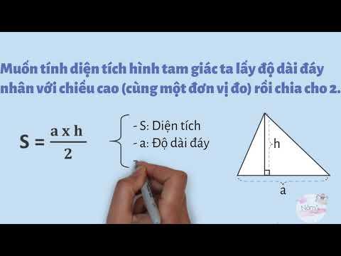 Tính Độ Dài Đáy Hình Tam Giác Gallery 1
