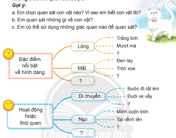 Từ Chỉ Đặc Điểm Trong Bài Chú Trống Choai Gallery 2