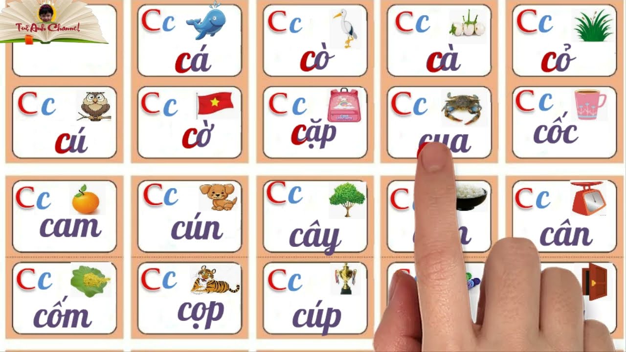 Từ có chữ C tiếng Việt