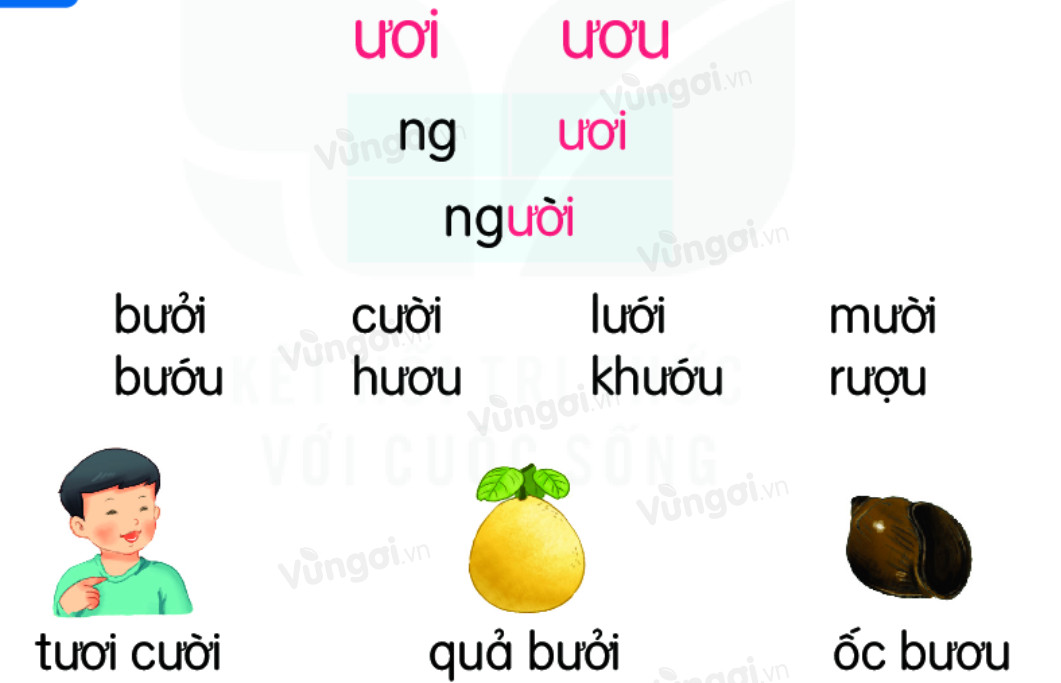 Tất cả các từ có vần ươu trong tiếng Việt Gallery 2