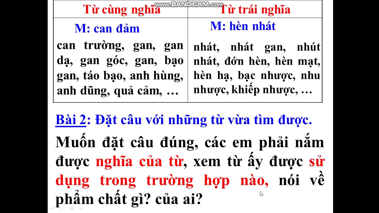 Từ Đồng Nghĩa với Dũng Cảm: Khám Phá Những Lựa Chọn Hay Nhất Gallery 1