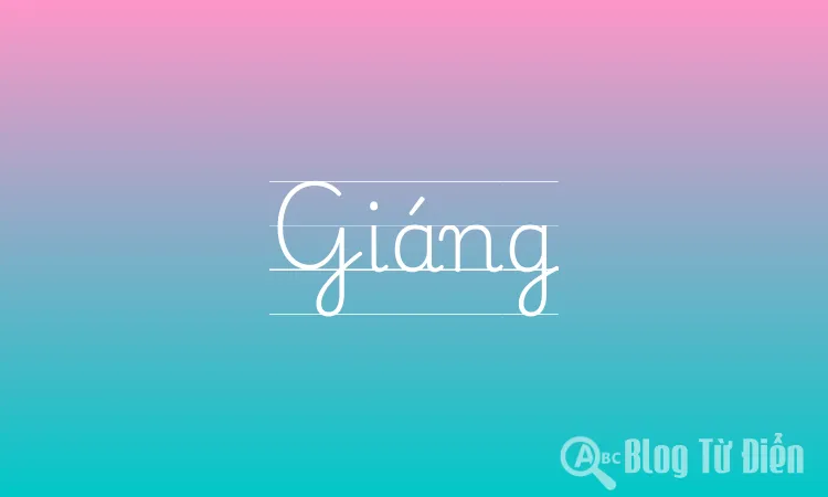 Dong Ra Là Gì? Tất Tần Tật Về Dong Ra Gallery 2