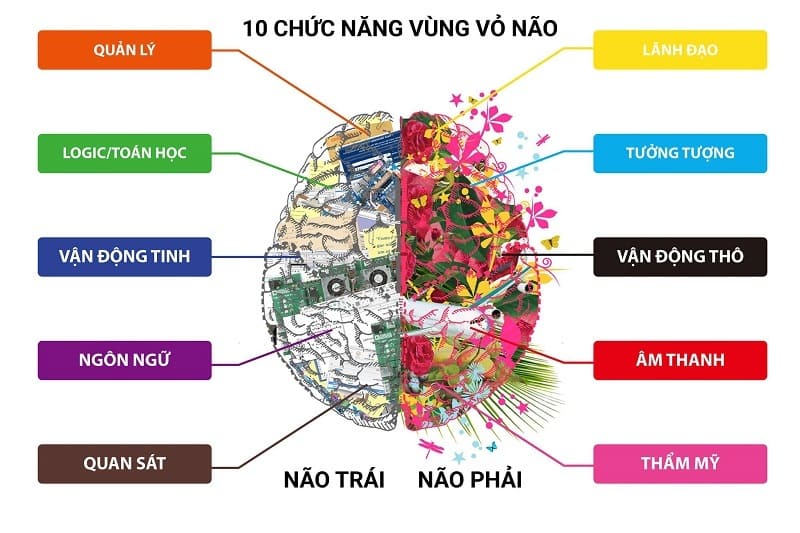 Nao ghép với từ nào? Gallery 1